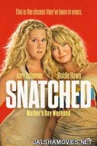 Snatched (2017) Dual Audio Hindi Dubbed Movie